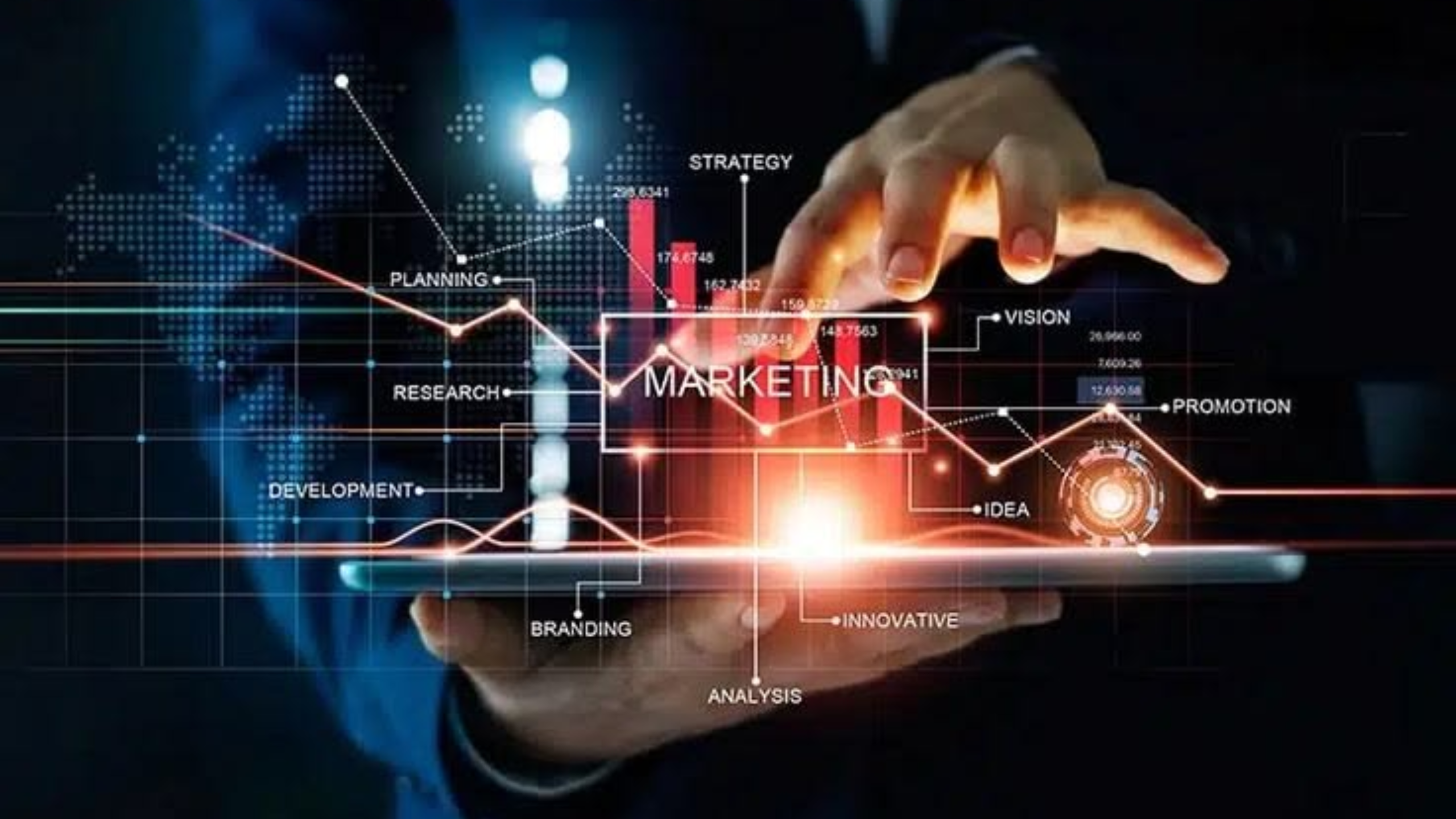 Sanjar Ali - Digital Marketing Strategist